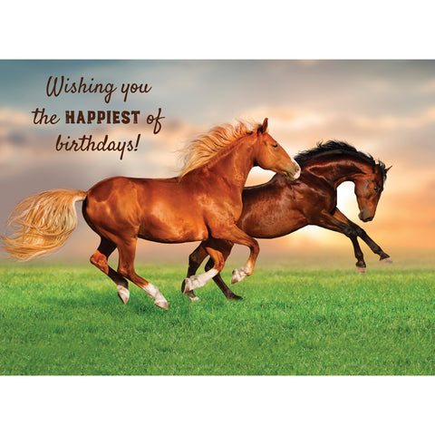 Wild Horses Birthday Boxed Cards SBEG22179