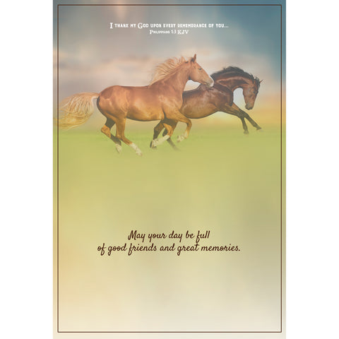 Wild Horses Birthday Boxed Cards SBEG22179