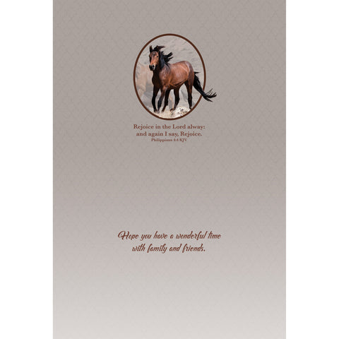 Wild Horses Birthday Boxed Cards SBEG22179