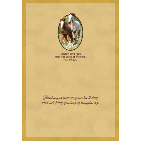 Wild Horses Birthday Boxed Cards SBEG22179