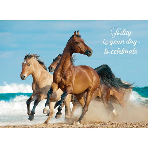Wild Horses Birthday Boxed Cards SBEG22179
