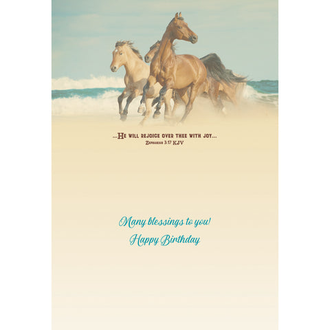Wild Horses Birthday Boxed Cards SBEG22179