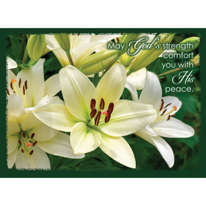 Sympathy Lilies Boxed Cards SBEG22185