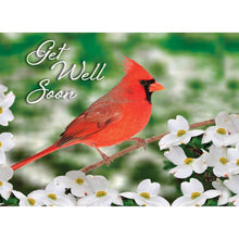Boxed Cards Get Well Assortment SBEG22285