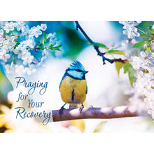 Boxed Cards Get Well Assortment SBEG22285
