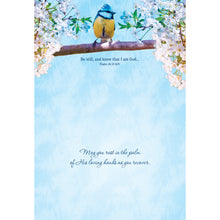 Boxed Cards Get Well Assortment SBEG22285
