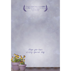 Rustic Celebration Birthday Boxed Cards SBEG22357
