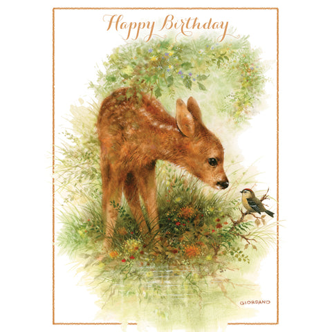 Wee Wildlife Birthday Boxed Cards SBEG22362