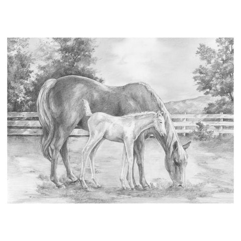 Sketching Made Easy Horse & Colt SKBNL8