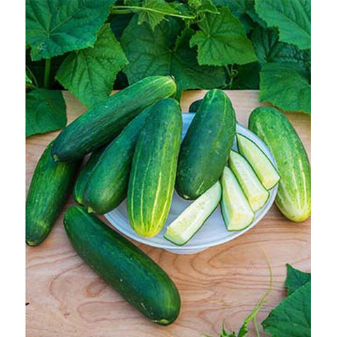 Cucumbers