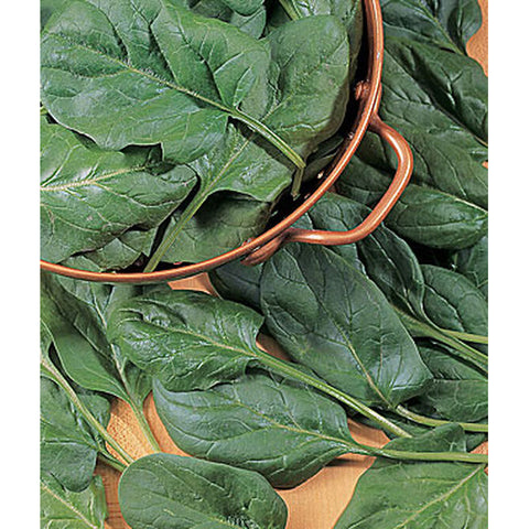 Baby leaf spinach