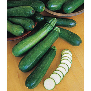 Fordhook zucchini 