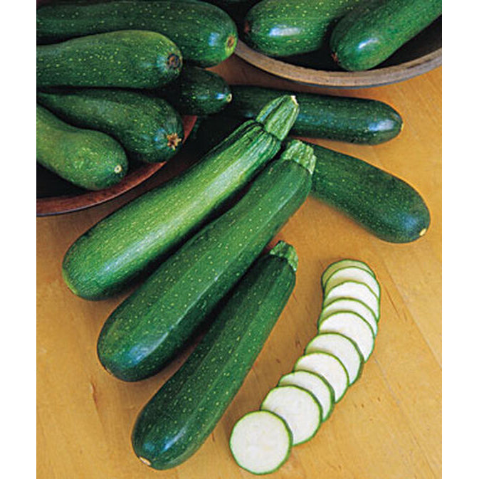 Fordhook zucchini 