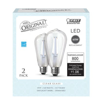 Daylight 2-Pack 60W Clear Glass Vintage Edison LED Light Bulbs ST1960/CL9