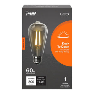 Soft White 60W Dusk to Dawn ST19 LED Light Bulb ST19C9