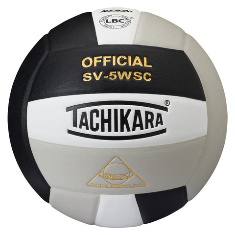 Volleyball, Black and Silver