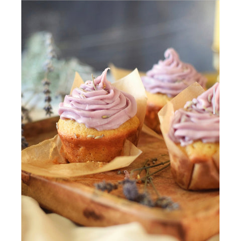 The Nourishing Harvest