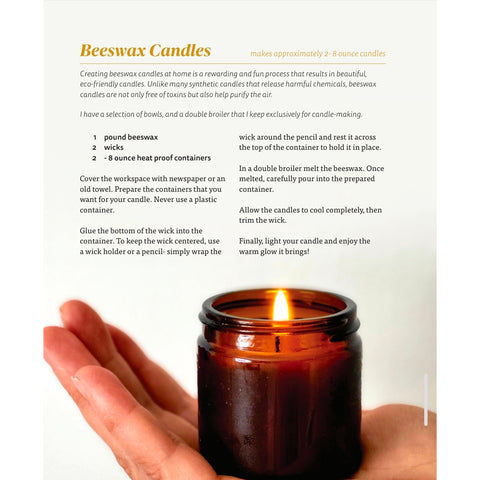 The Nourishing Harvest