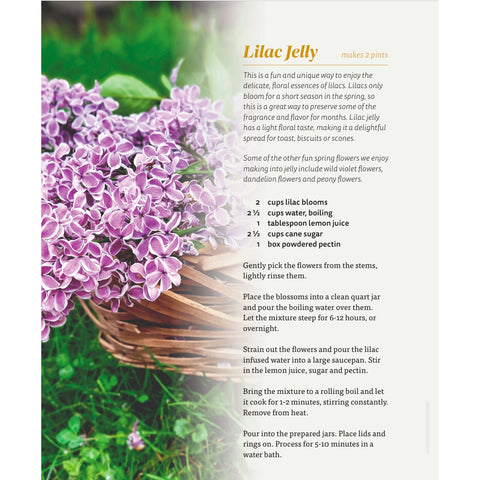 The Nourishing Harvest