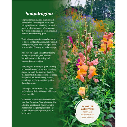 The Nourishing Harvest