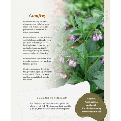 The Nourishing Harvest