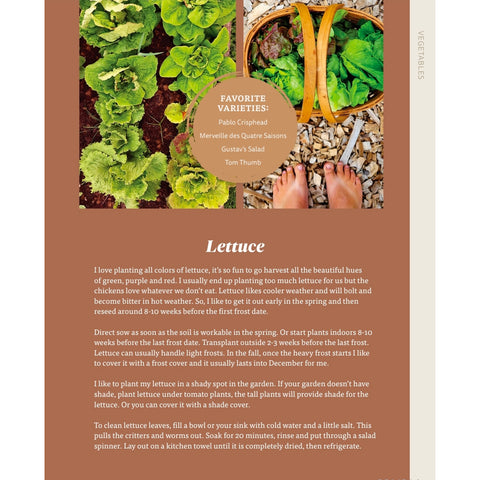 The Nourishing Harvest