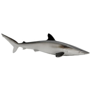 Silky Shark 100208