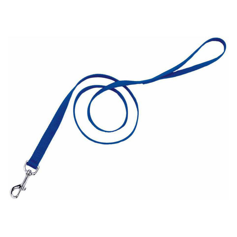 Single Nylon Lead Blue 6 ft. by 1 in. 00906-BLU06