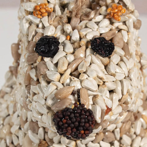 Mr. Bird Snow Bear seed cake showing close up view of seeds