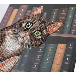 Cats in the Library Crystal Art Notebook Kit CA-60176 Close-up