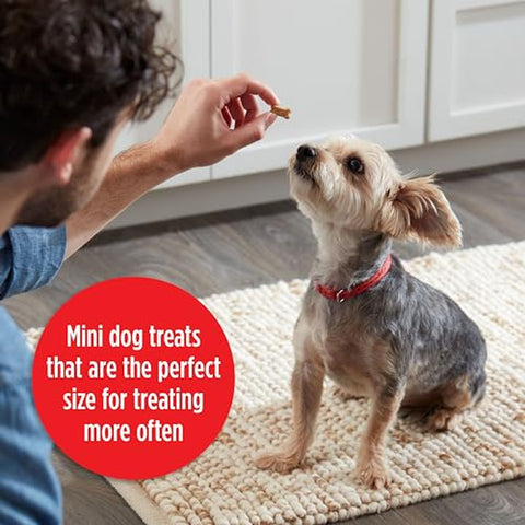 Soft & Chewy Mini�s Dog Treats Made with Real Chicken 18 oz