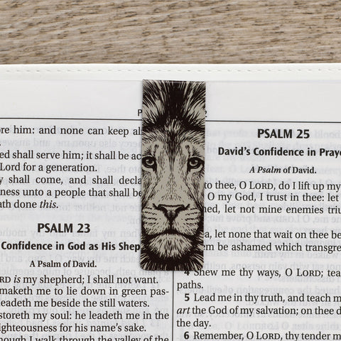 Strong and Courageous Magnetic Bookmark Set MGB078 in bible