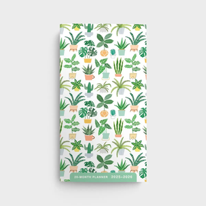 Succulents 2025-2026 28-Month Planner U21