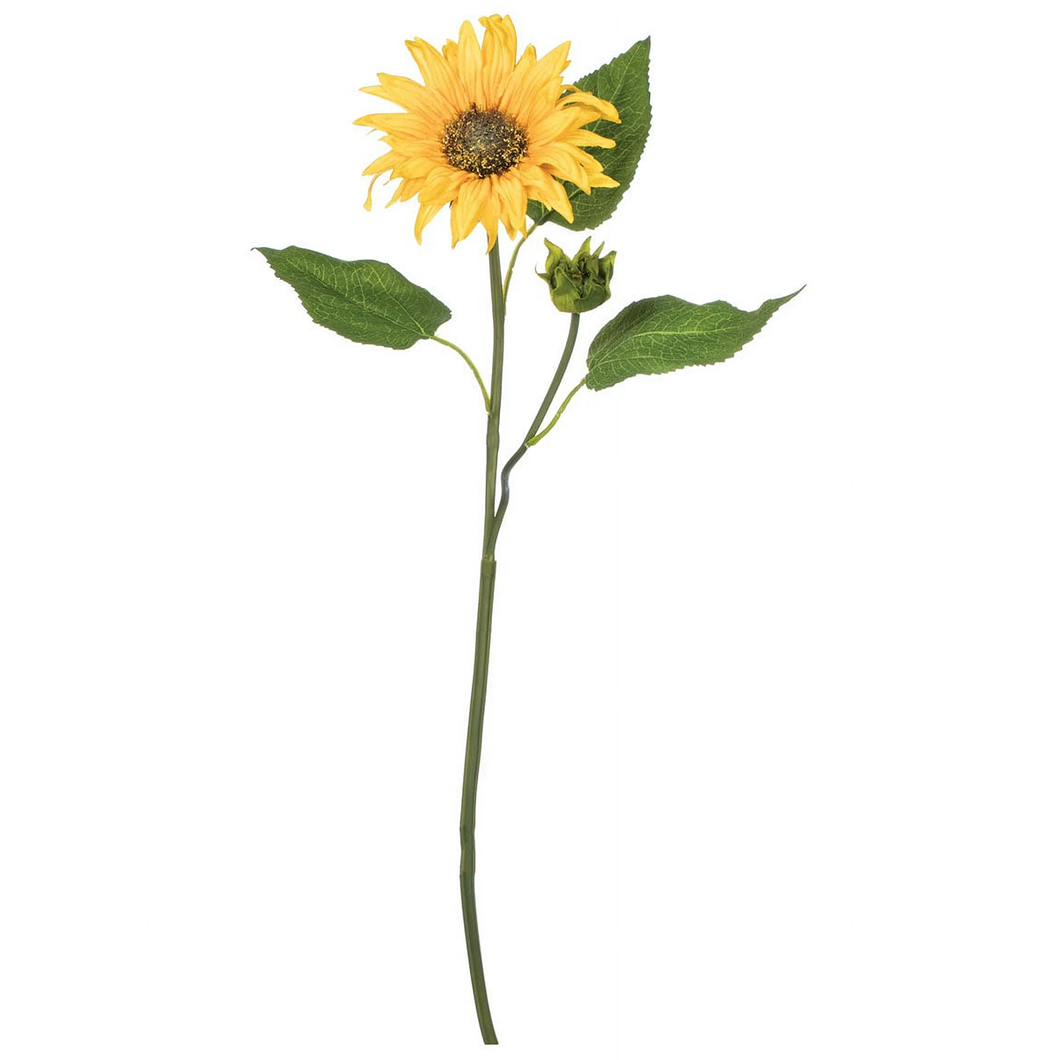 Sunflower Stem GG943