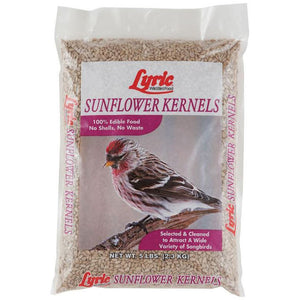 bag of lyric sunflower kernals