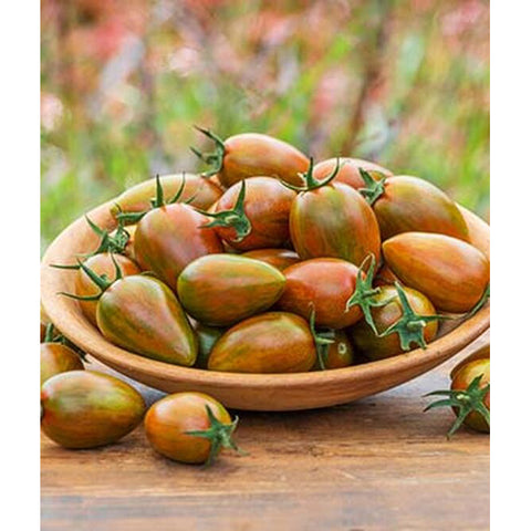 Shimmer Hybrid tomatoes