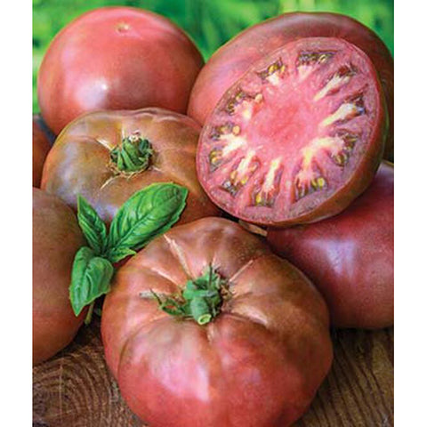 Black Krim tomatoes