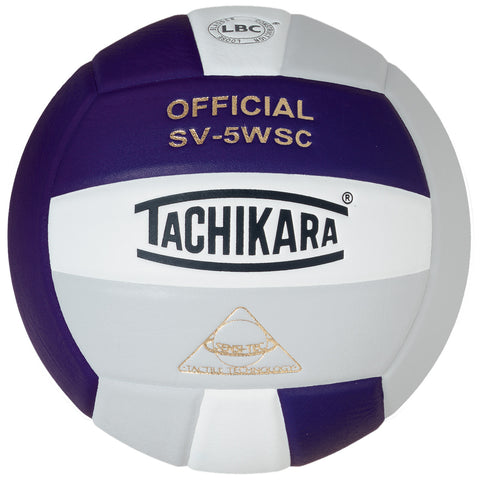 Volleyball-purple and silver