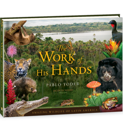 The work of His Hands book by Pablo Yoder 9780878137930