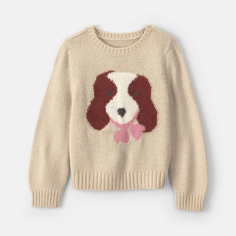 Toddler Girl's Long Sleeve Sweater 6V908110