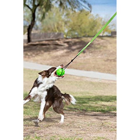 Tree Tugger Bungee Green - Large