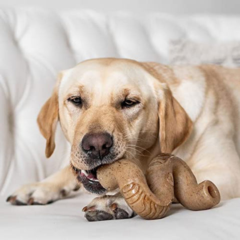 Tripe Bone Medium Durable Long-lasting Chew