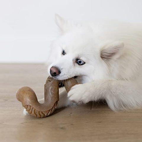 Tripe Bone Medium Durable Long-lasting Chew