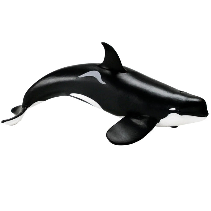 Type D Orca 103538