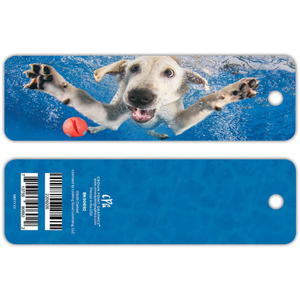 Underwater Yellow Lab BK90692