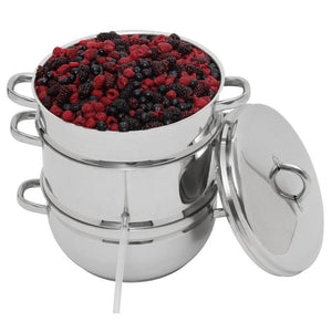Victorio Steamer Juicer with berries