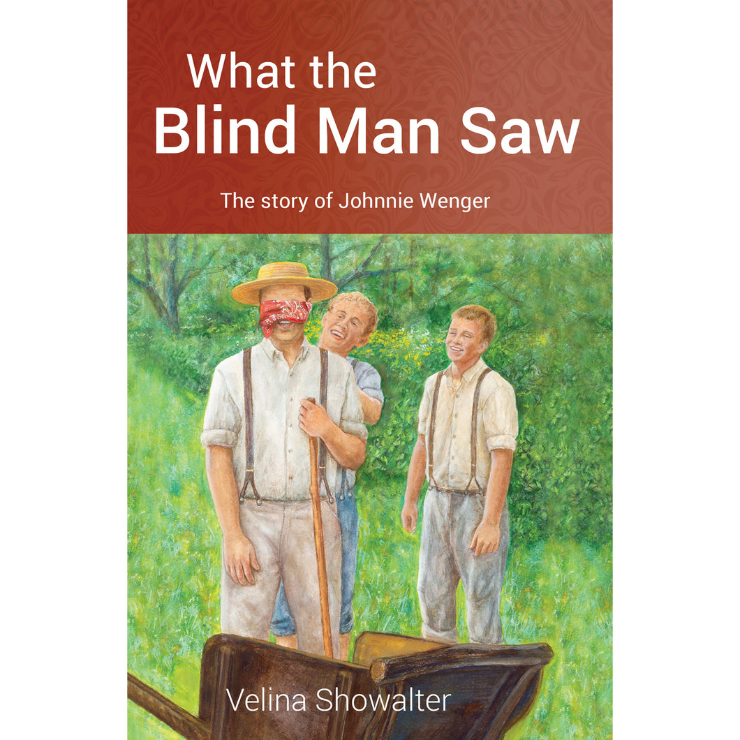 What the Blind Man Saw Book.

