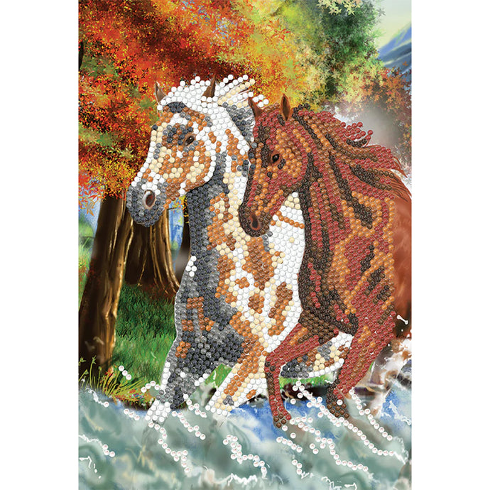 Wild Horses Crystal Art Notebook Kit CA-49641