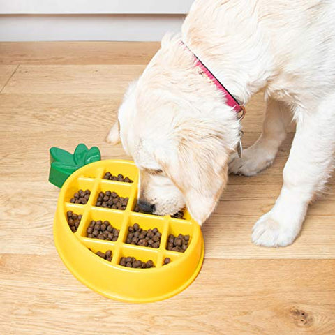 Pineapple Happy Bowl Slow Feeder