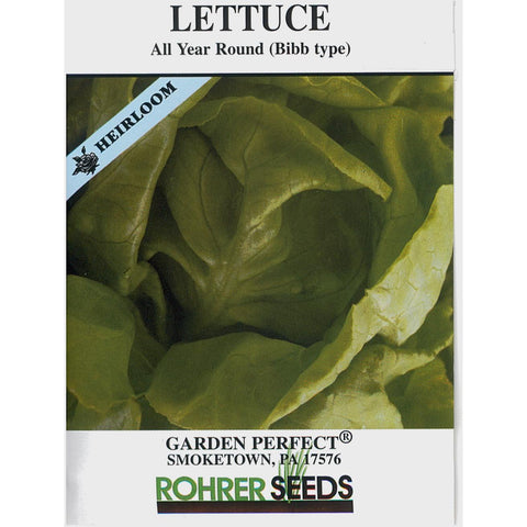 Bibb lettuce seed pack